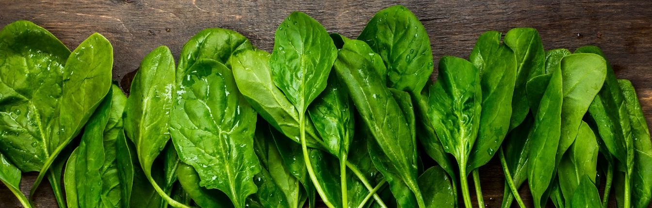 Fresh spinach leaves on a dark brown table.