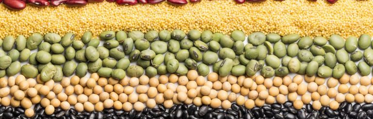 Different beans, legumes, and whole grains.